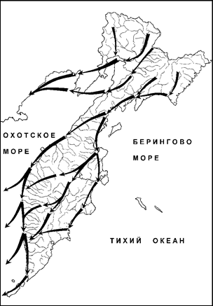 Осенняя миграция гусей 2015