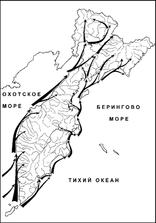 Миграция морских уток
