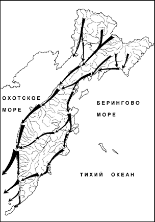 Осенняя миграция среднего кроншнепа 2015