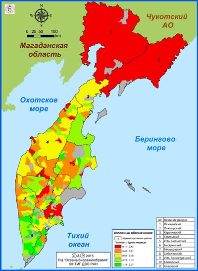 Уч_плотн_Медведь