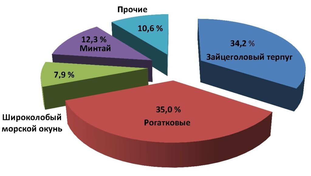 Состав контрольных удебных уловов и относительная численность в них различных видов рыб у мыса Опасного (Авачинский залив) 8 июля 2024 года