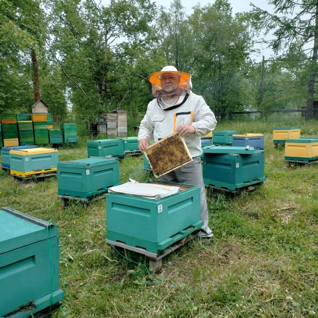 П. П. Снегур выполняет необходимые работы на исследовательской пасеке. Урочище Безводное, 3 июля 2024 года