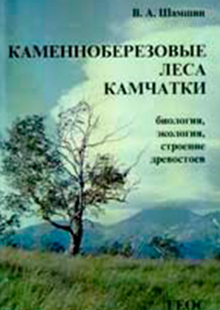 hsamshin